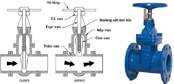 cau-tao-van-cong-ty-chim