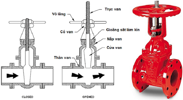 cau-tao-van-cong-ty-noi