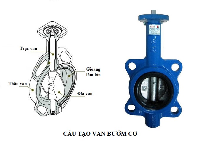 cau-tao-van-buom