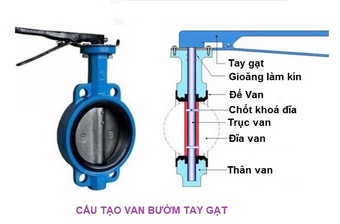 Van-buom-tay-gat-gang-cau-tao