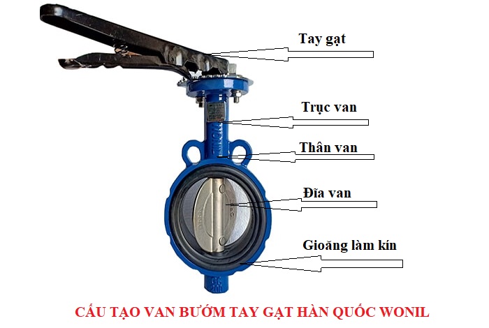 cau-tao-van-buom-tay-gat-wonil