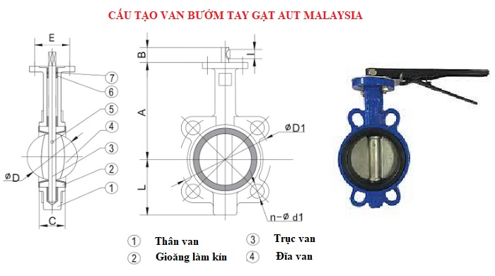 Cau-tao-van-buom-tay-gat-aut-malaysia