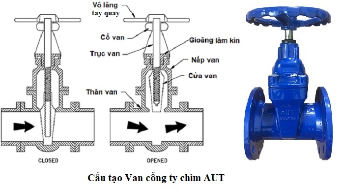 cau-tao-van-cong-ty-chim